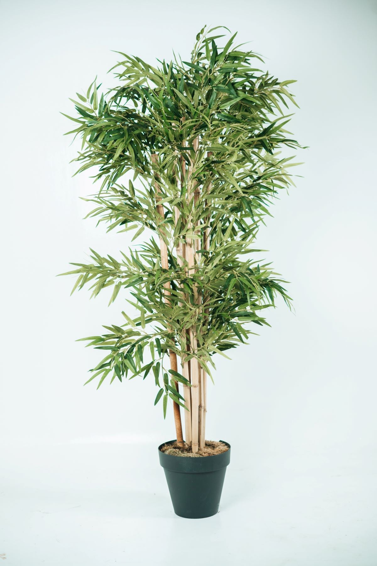 Artificial Bamboo Plant in Pot