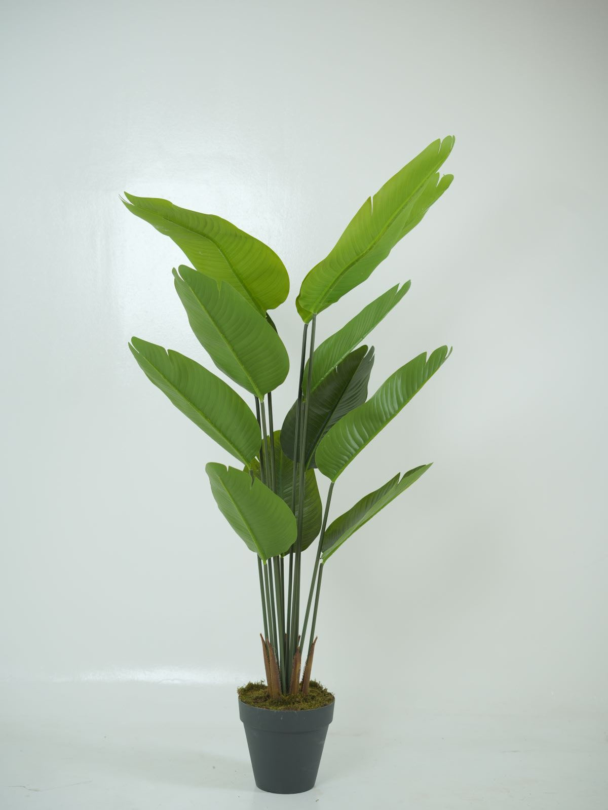 Faux Banana Leaf Plant